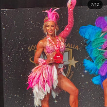 Load image into Gallery viewer, Pink flamingo theme wear costume
