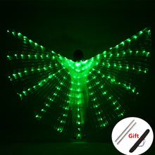 Load image into Gallery viewer, Multi-colour rainbow LED light up wings
